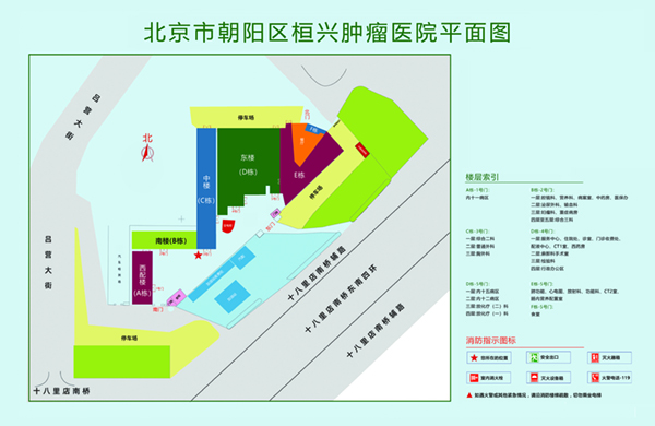 不要插了啊啊啊在线观看北京市朝阳区桓兴肿瘤医院平面图